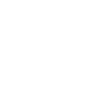 TikTok Icon