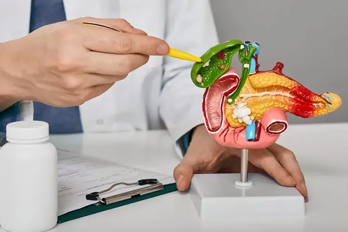 gallbladder anatomy