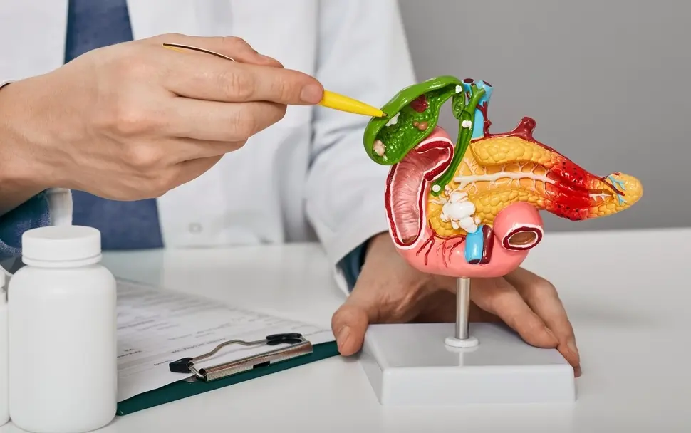 doctor pointing to gallbladder